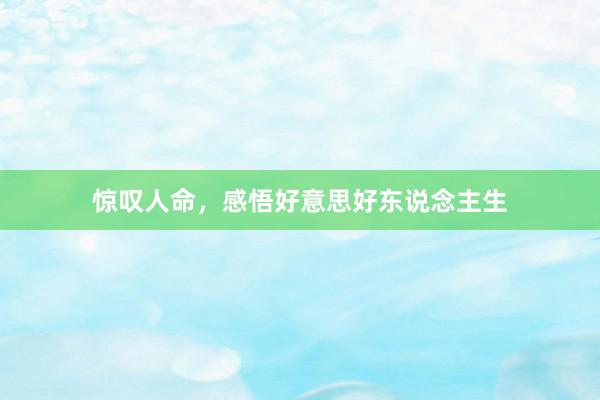 惊叹人命，感悟好意思好东说念主生